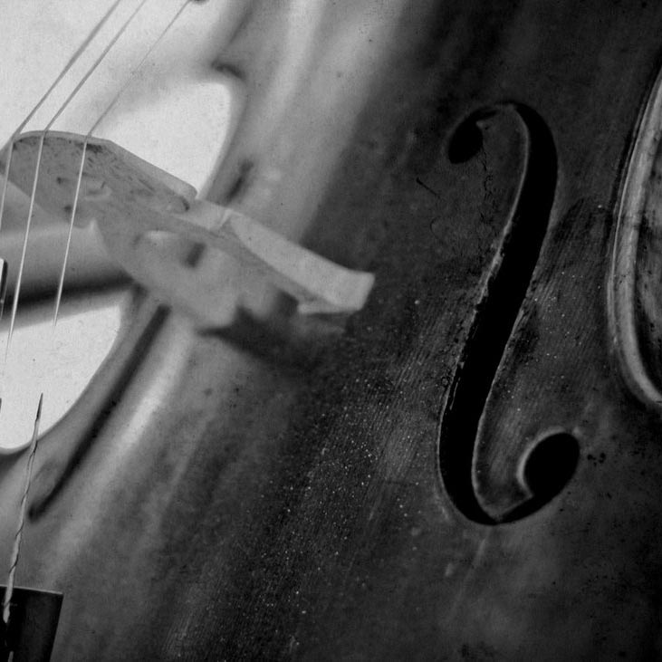 Cello in South Jersey